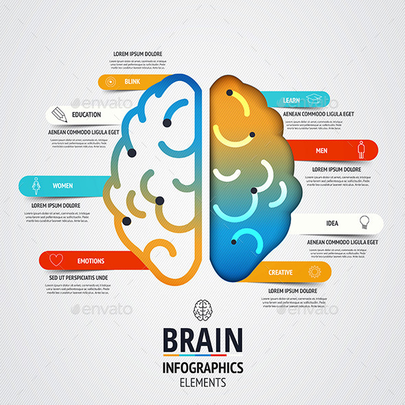 Creative Brain Infographics Design | GraphicRiver empty hr diagram 